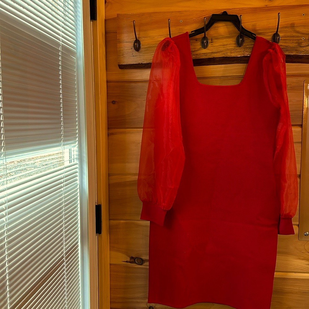 Red House of Harlow dress with red sheer long sleeves.
